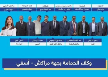 محمد الحيداوي يعلن ترشحه للبرلمان،مدعوما بغرفة الصيد البحري لأطلسية الشمالية