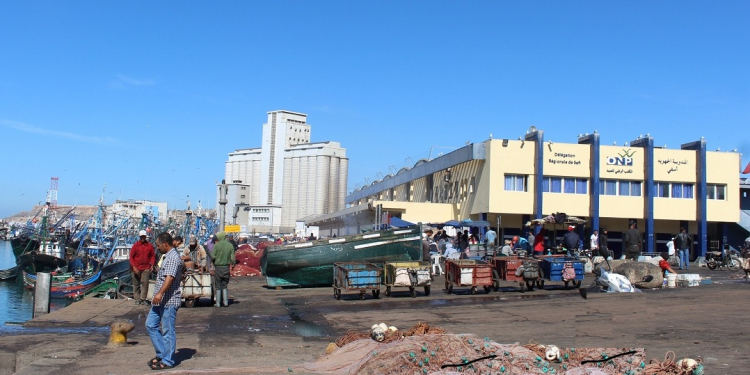 اسفي:ارتفاع قيمة منتوجات الصيد بنسبة 33 %