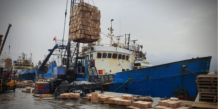 هل يستمر أخنوش في رعاية شركات الصيد بأعالي البحار و استئنائهم من قانون المالية2022