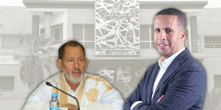 محمد الرزمة يزلزل غرفة الصيد البحري الجنوبية تحت اقدام الجماني