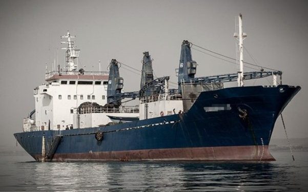 مسؤول ايراني يفضح ممارسة سفن صينية للصيد الجائر بخليج فارس