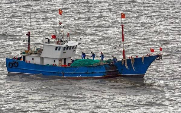 مسؤول ايراني يفضح ممارسة سفن صينية للصيد الجائر بخليج فارس