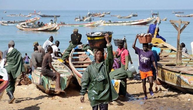 موريتانيا:وزارة الصيد البحري تحاصر مخالفي قواعد صحة و سلامة المنتوجات البحرية