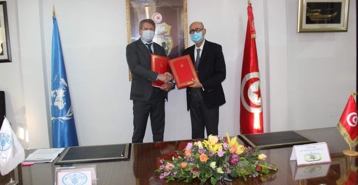 الصيد البحري و تربية الاحياء المائية محور تعاون بين تونس ومنظمة الأغذية والزراعة للأمم المتحدة