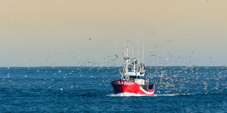 الاتحاد الأوروبي يدعو لتحسين إدارة المحيطات