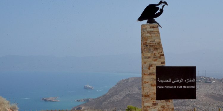 طنجة على موعد مع المؤتمر الدولي للعلوم البيئية والدراسات التطبيقية