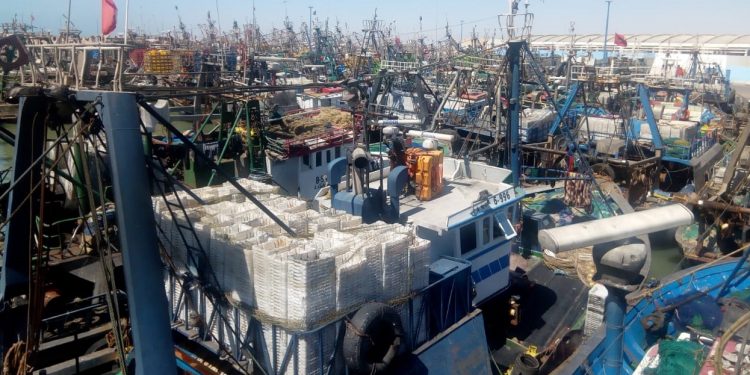 من العيون ، محمد الرزمة يدعو الى اتخاذ احتياطات السلامة و حماية الثروة السمكية