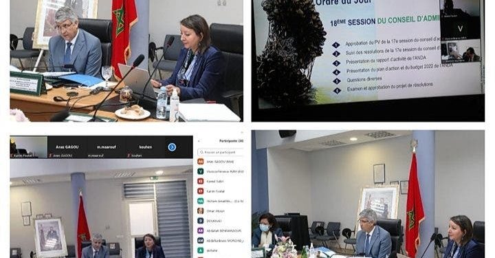 صديقي يترأس المجلس الإداري للوكالة الوطنية لتنمية الاحياء البحرية