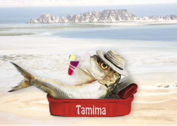 بعد سنوات من الاستنزاف، مصيدة السمك السطحي”س” تخضع للراحة البيولوجية