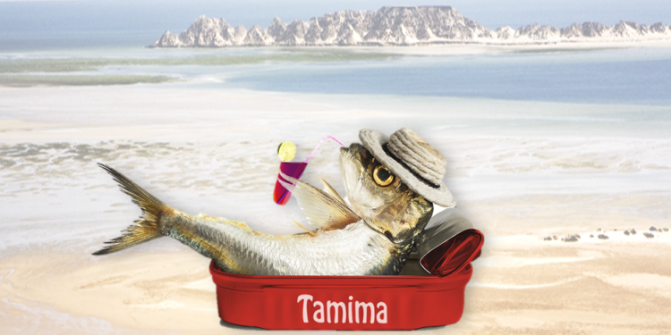 بعد سنوات من الاستنزاف، مصيدة السمك السطحي”س” تخضع للراحة البيولوجية