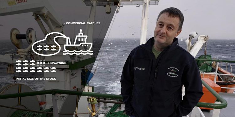 اوربا تطلق دراسات لتقييم القدرة الإنجابية للأسماك