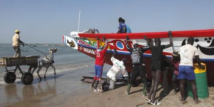 السنيغال: احداث شبكة وطنية لمجالس الصيد التقليدي المحلية