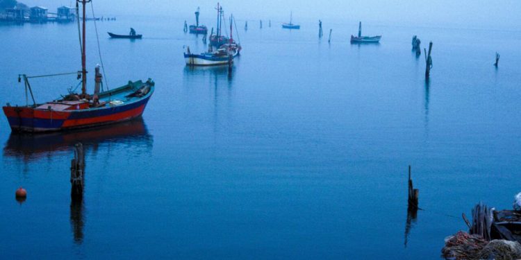 التلوث و الصيد الجائر، مؤشرات انقراض نشاط الصيد البحري بايطاليا