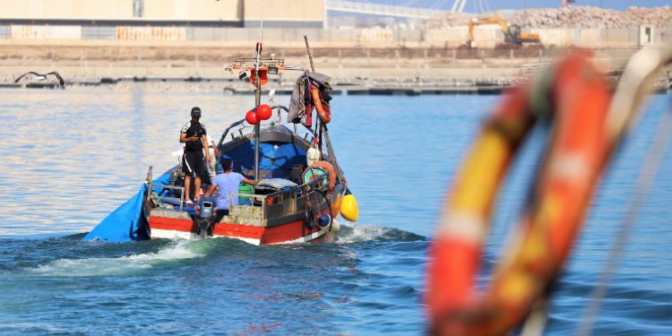 التكوين والبحث العلمي محوران للارتقاء بقطاع الصيد البحري