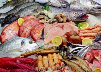 رغم ظروف الجائحة،المفرغات السمكية تسجل أكثر من 9 ملايير درهما،