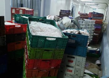 الداخلة: ضبط أكثر من 2 طن من السمك المعد للتهريب.