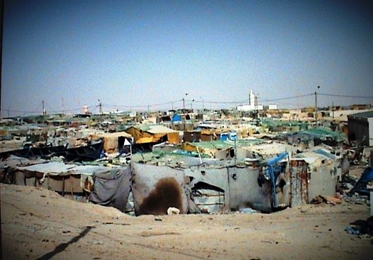 الداخلة وادي الذهب: فدرالية الصحراء المغربية للصيد البحري تدخل على خط ملف السكن الاجتماعي لبحارة الصيد التقليدي