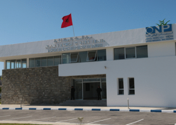 غرفة الصيد البحري بطنجة تحتضن اجتماعا حول اعادة هيكلة تسويق منتجات الصيد البحري