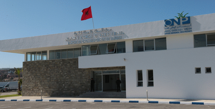 غرفة الصيد البحري بطنجة تحتضن اجتماعا حول اعادة هيكلة تسويق منتجات الصيد البحري