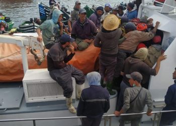 مهنيو الصيد التقليدي باسفي يطالبون بتجويد الخدمات