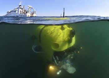 قمة ONE OCEAN :علوم البحار لإنقاذ المحيط