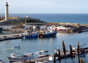 الجزائر تتجه الى رقمنة قطاع الصيد البحري و تربية الأحياء المائية.