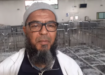 شادي: تجار السمك و مهنيو الصيد الساحلي جسد واحد في مواجهة الأزمة