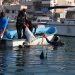 المغرب يشارك في مؤتمر دولي حول مكافحة القمامة البحرية في البحر الأبيض المتوسط