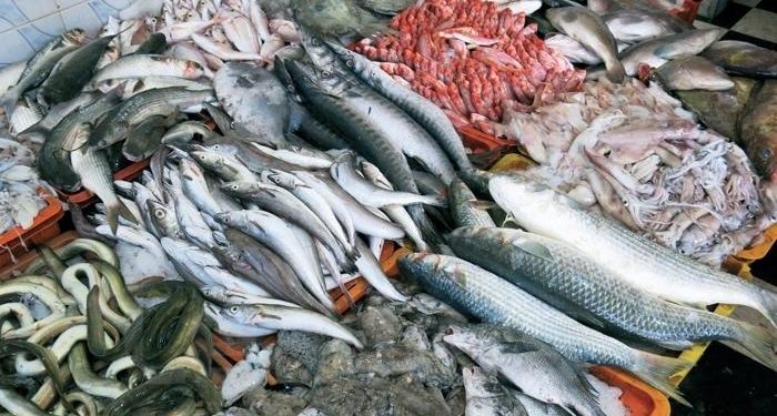 تونس: الصادرات السمكية تسجل ارتفاعا بقيمة 208.6 مليون دينار