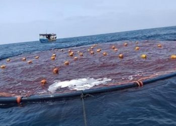 قطاع غزة :الاستزراع السمكي لأسماك الدنيس(دوراد) داخل البحر .. مشروع استراتيجي واعد