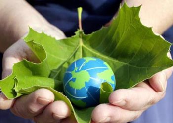 اليوم العالمي للبيئة مناسبة لإحداث تغييرات تحويلية في السياسات والاختيارات
