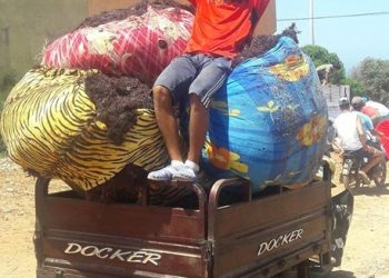 بعد 12 سنة قطاع الصيد البحري يفرج عن قانون ينظم مهني الطحالب