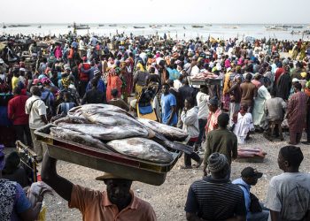 مبادرة مصائد الأسماك الساحلية (FPAT) لتقييم أداء مصايد الأسماك غرب افريقيا