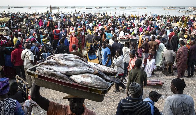 مبادرة مصائد الأسماك الساحلية (FPAT) لتقييم أداء مصايد الأسماك غرب افريقيا