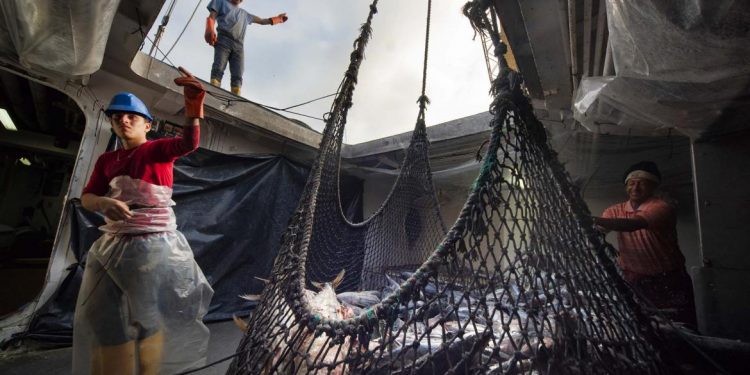 الرقمنة لمواجهة الصيد غير المشروع