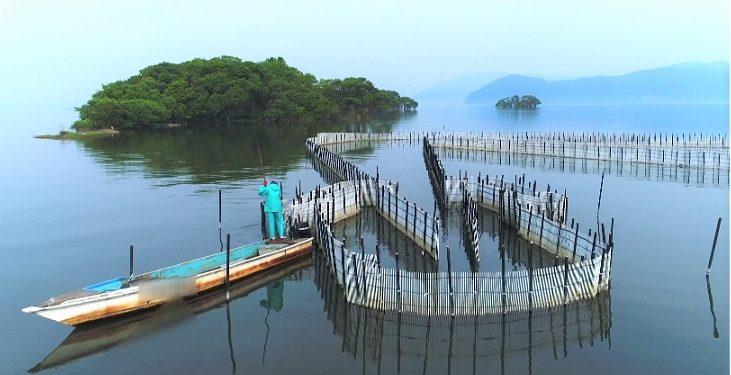 اليابان: نظام لمصايد الأسماك يدرج ضمن نظم التراث الزراعي ذات الأهمية العالمية