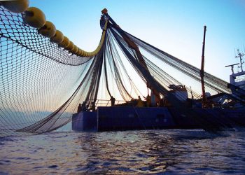 بعد الصيد التقليدي و أعالي البحار، التراشق الإعلامي يصيب صنف سفن الصيد بالمياه المبردةRSW