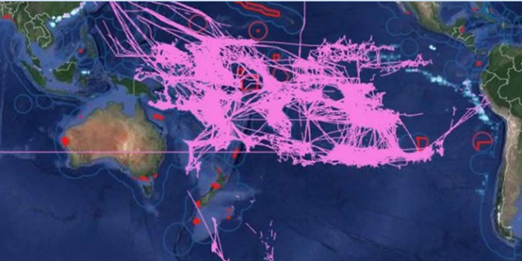 الأسطول الصيني يهدد مخزون الأسماك في أمريكا اللاتينية