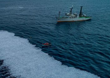 بسبب نفوق أطنا السمك، Sea Shepherd تقدم شكاية في حق سفينة الصيد المجمدة Margiris