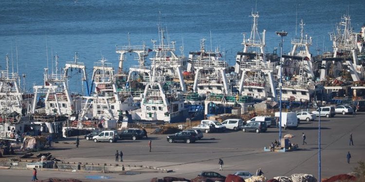 ميلود كردي: بعض الشركات تنصلت من بحارتها في ساعة الشدة…..من العار استجداء الحق