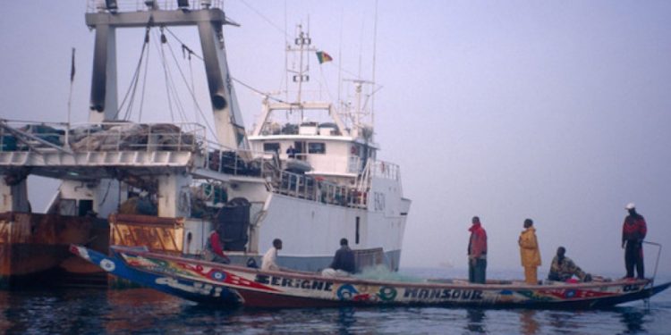 لمكافحة الصيد غير القانوني والتسميات الخاطئة، علماء أستراليا يطورون تقنية لرصد المصدر