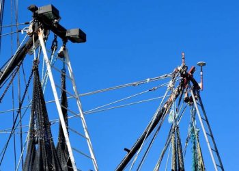 خبراء اسبان يبتكرون تطبيقا جديدا يحدد الوقت الحقيقي لنشاط الصيد للسفن
