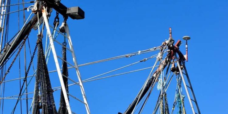 خبراء اسبان يبتكرون تطبيقا جديدا يحدد الوقت الحقيقي لنشاط الصيد للسفن