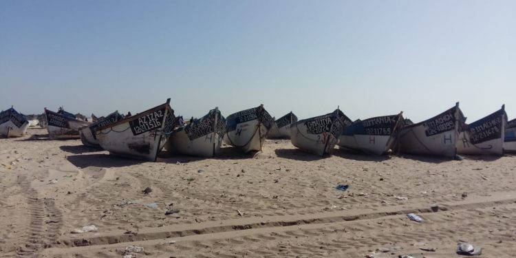 قرار شل الصيد التقليدي ، حيث يجتمع الشطط الاداري مع الغباء السياسي