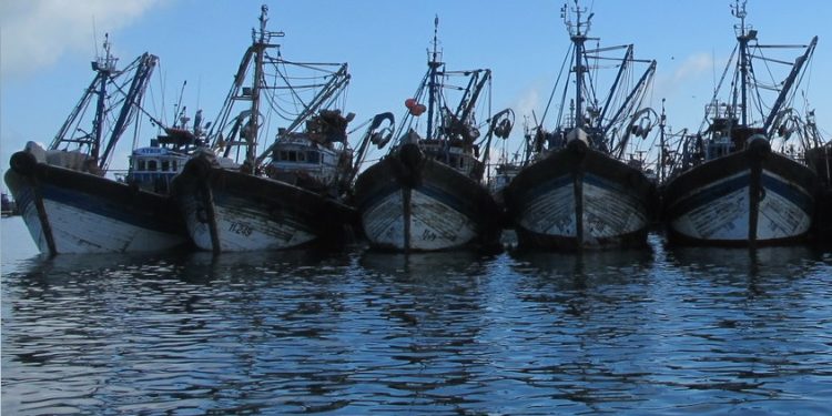 المحروقات وشروط الصيد تهدد بارتفاع أسعار الأسماك‬