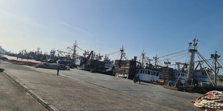 المهدية/القنيطرة: مراكب الصيد بالجر و صيد السمك السطحي تعلنان توقفا اضراريا بسبب ارتفاع اسعار المحروقات