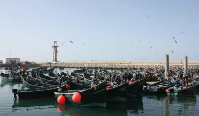 الكنفدرالية الوطنية للصيد التقليدي تتشبث بحق الرد على نظيرتها في الصيد الساحلي