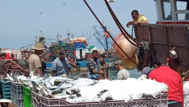 آسفي: الإرتفاعات أسعار الكازوال تعرقل السير العادي لنشاط الصيد البحري