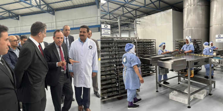 آسفي :عامل الإقليم  يتفقد وحدة جديدة لتصبير السمك