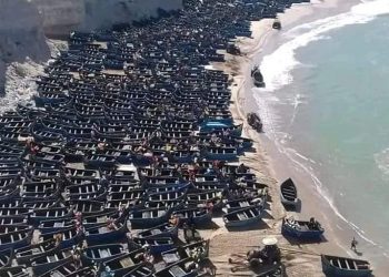 تقارير مغربية موريتانية تنذر بإعلان موسم ابيض للاخطبوط